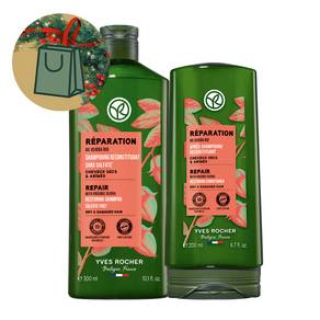 Sada regenerační péče o vlasy