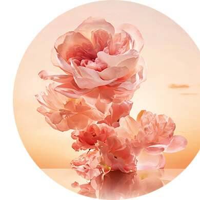 Jasmín velkokvětý, damascénská růže a dřevité akordy